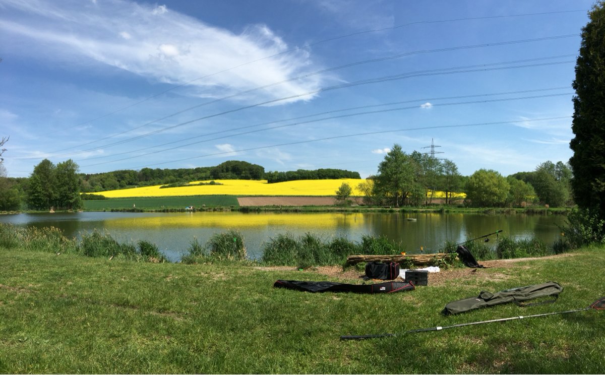 Forellenteiche Waldmark ALLE ANGELN