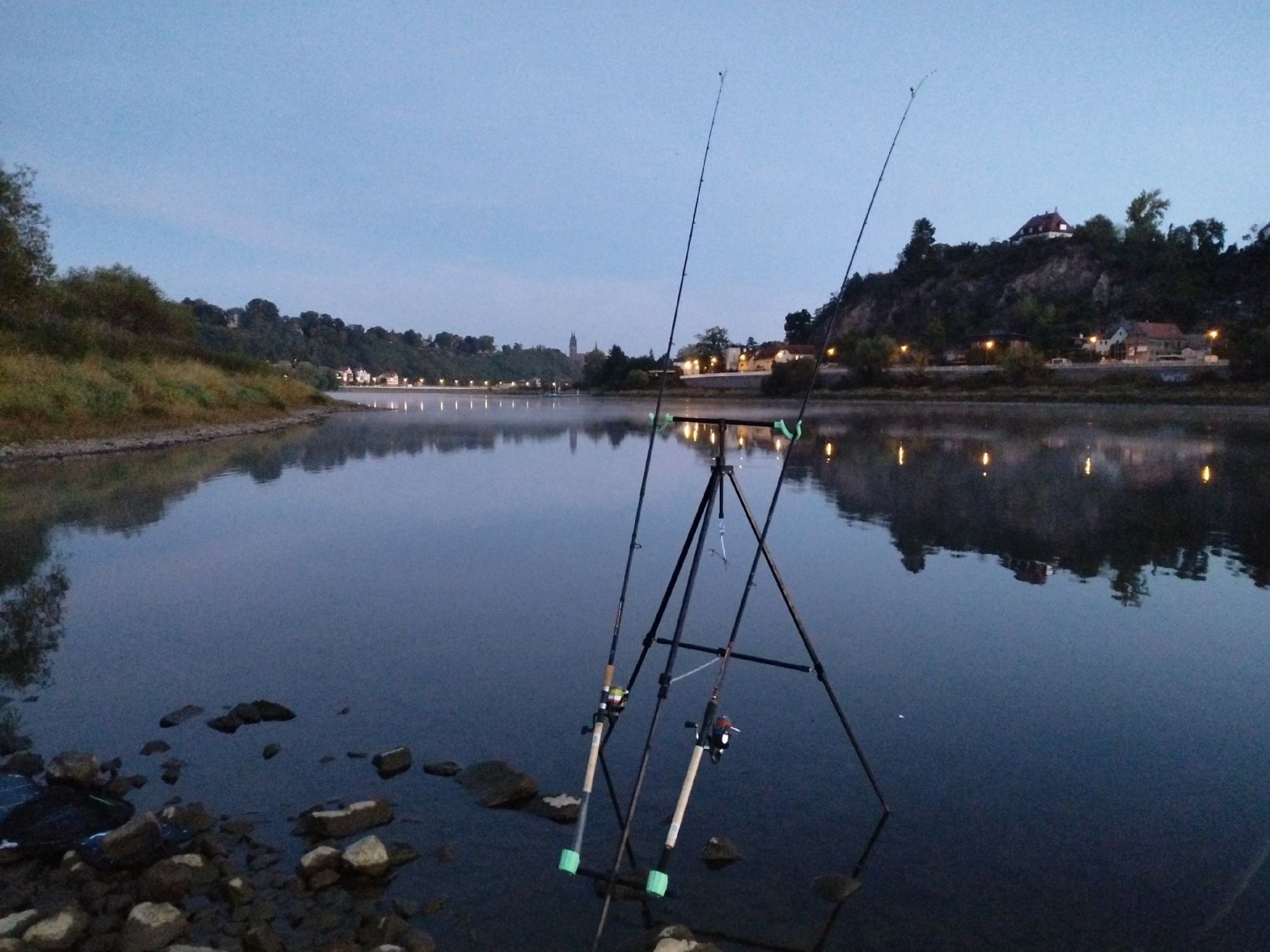 Elbe (Meißen) angeln