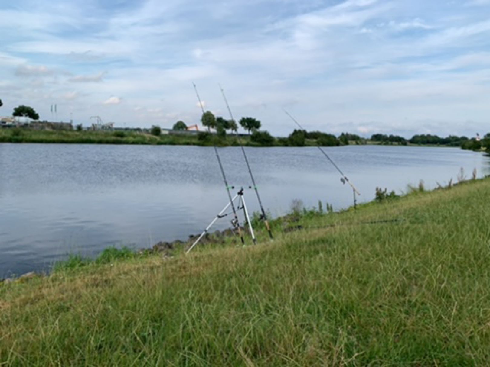 Weser (Verden/Aller) angeln