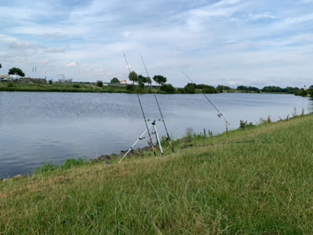 Weser (Verden/Aller) angeln