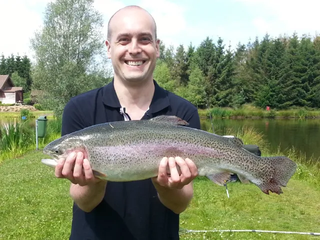 Regenbogenforelle