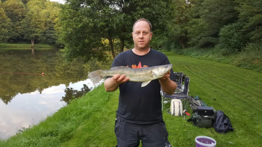 Zander