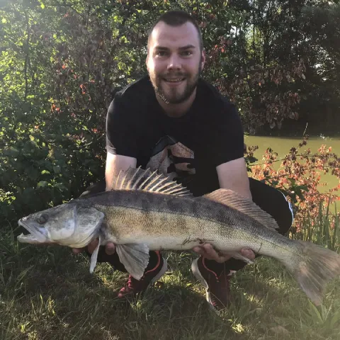 Zander