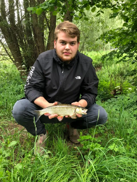 Döbel