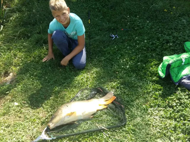 Karpfen