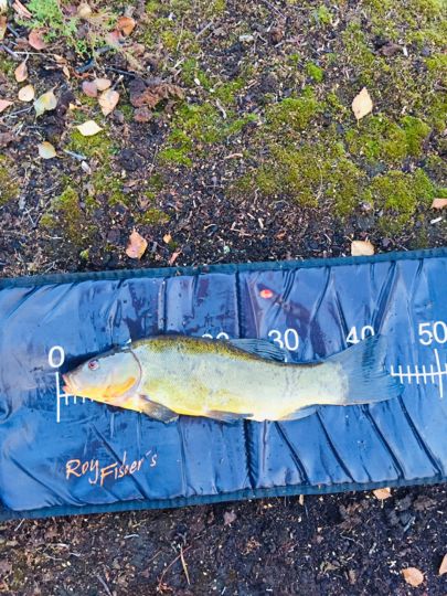 Lange Kuhle (Alt Meteln) | ALLE ANGELN