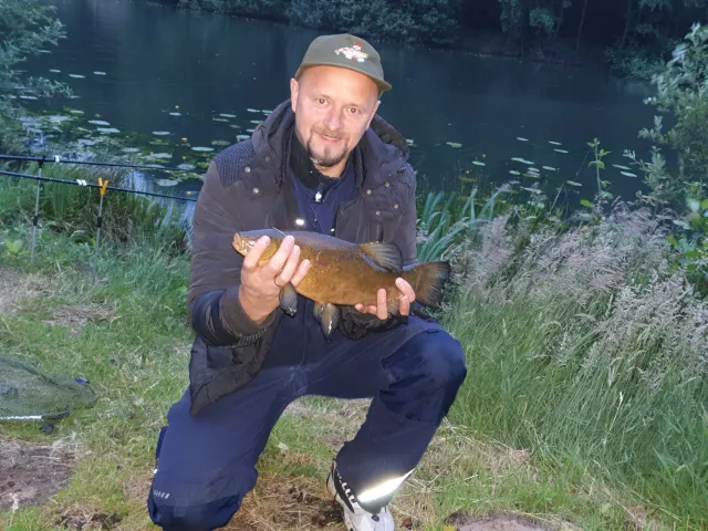 Schleie