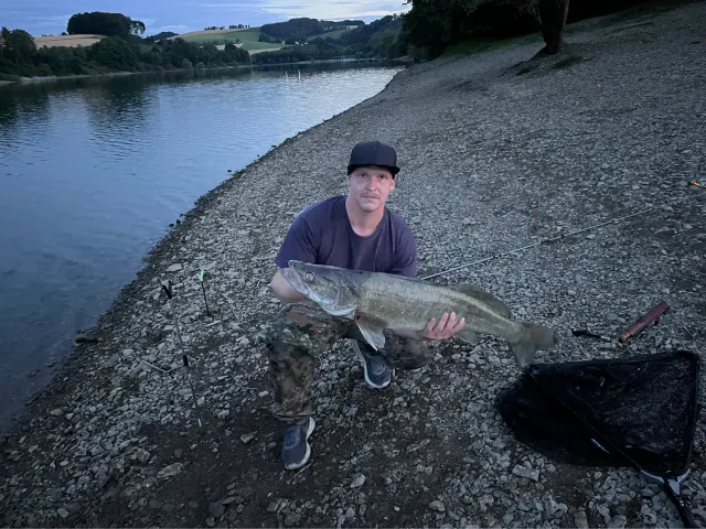 Zander