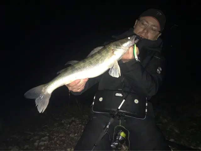 Zander