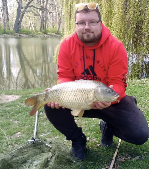 Karpfen