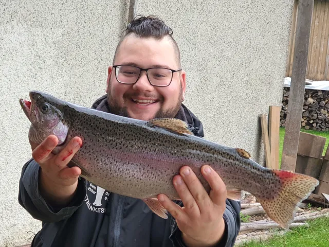 Regenbogenforelle