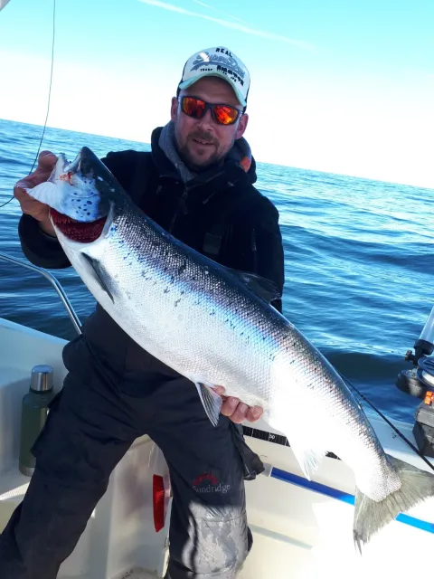 Lachs