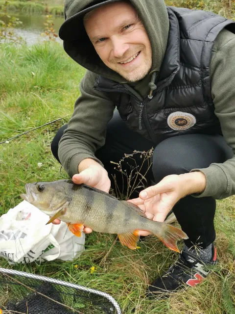 Flussbarsch