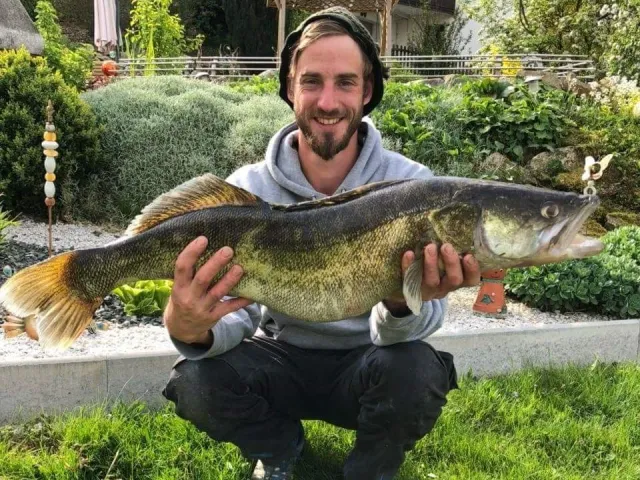 Zander