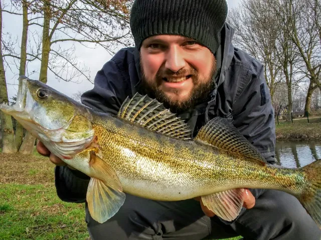 Zander
