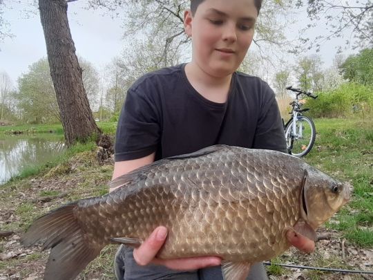 Giebel