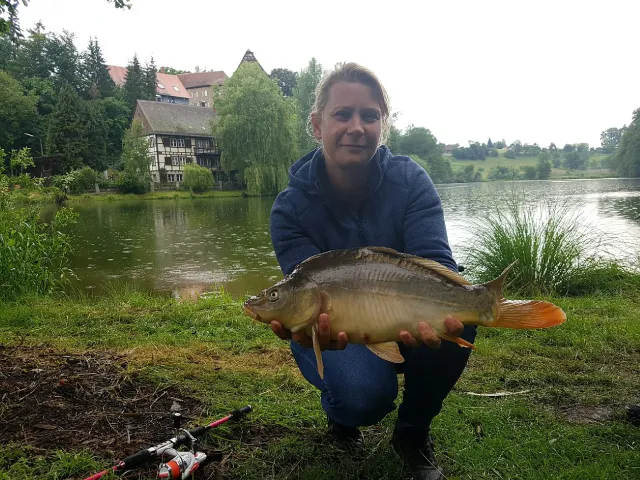 Karpfen