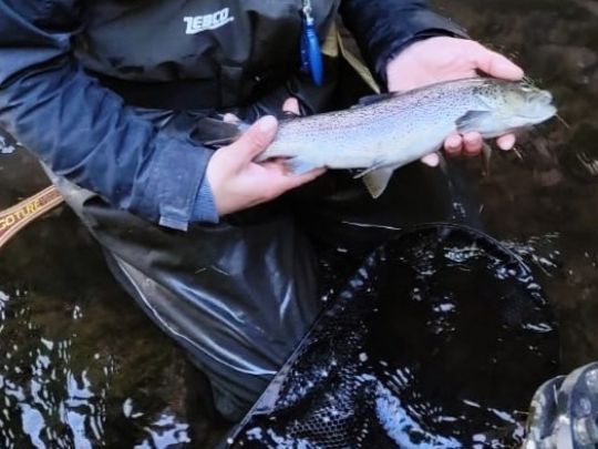 Rhume (Bilshausen)  ALLE ANGELN