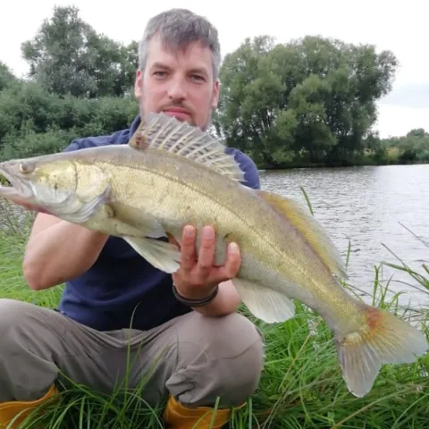 Zander