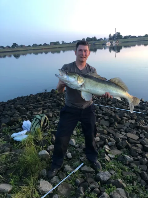 Zander