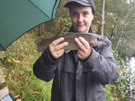Regenbogenforelle