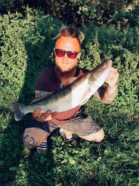 Zander