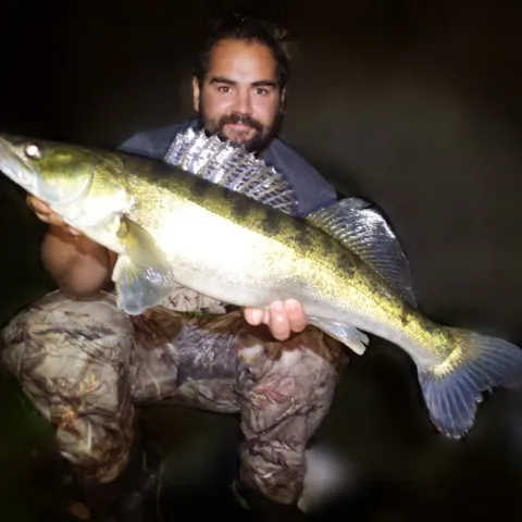Zander