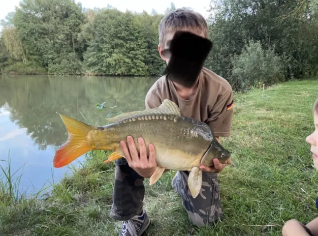 Karpfen