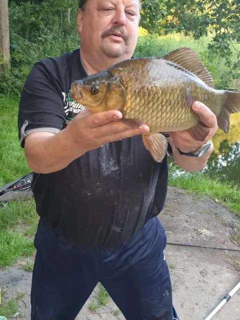 Karausche