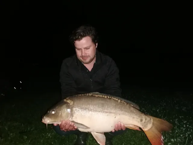Karpfen