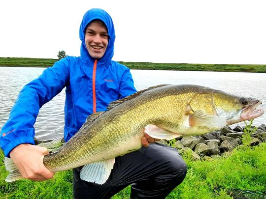 Zander