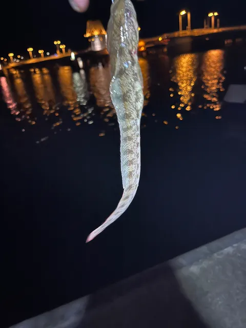 Aalmutter
