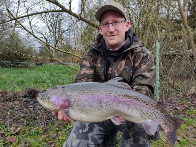 Regenbogenforelle
