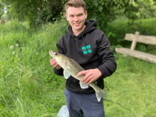 Zander