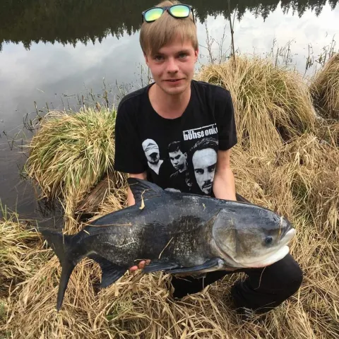 Marmorkarpfen