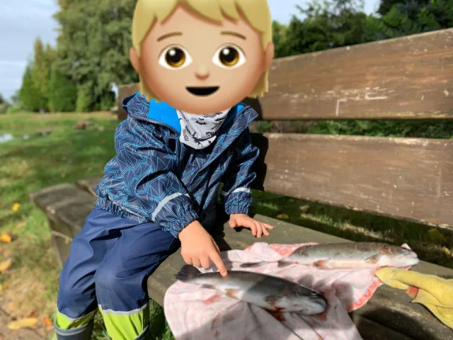 Regenbogenforelle