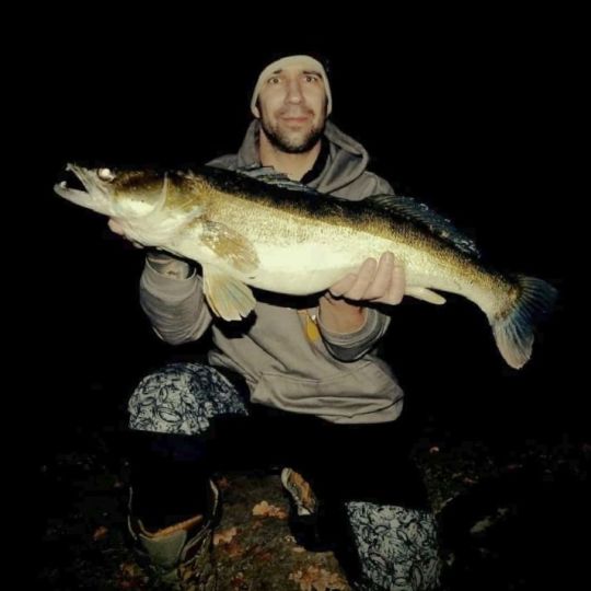 Zander
