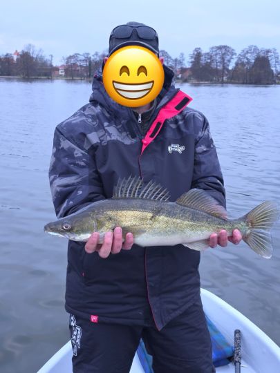 Zander