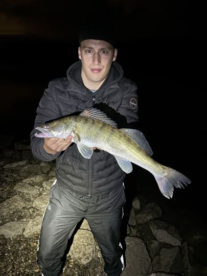 Zander