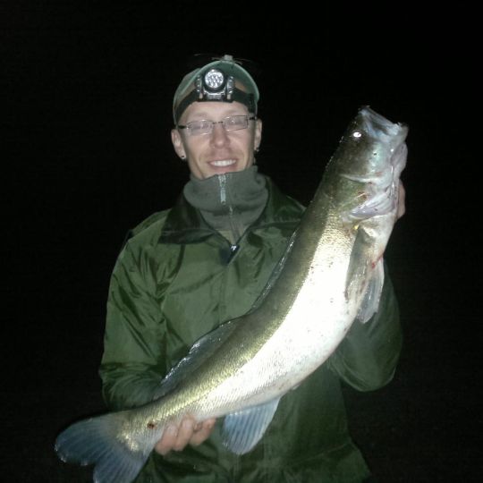 Zander