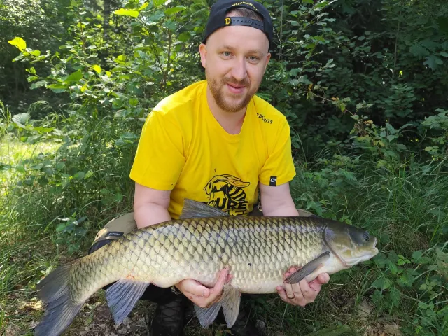 Graskarpfen
