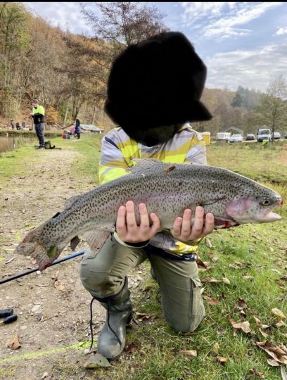 Regenbogenforelle