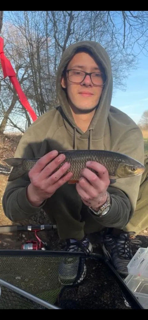Döbel