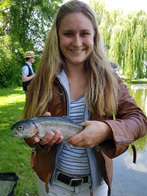 Regenbogenforelle