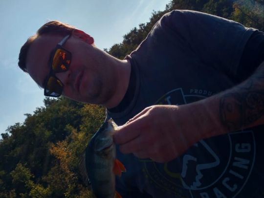 Flussbarsch