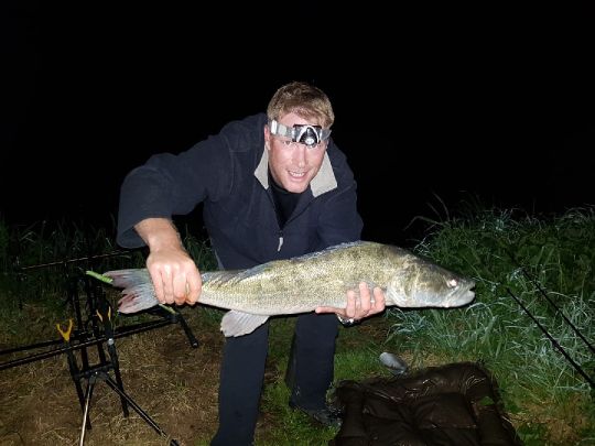 Zander
