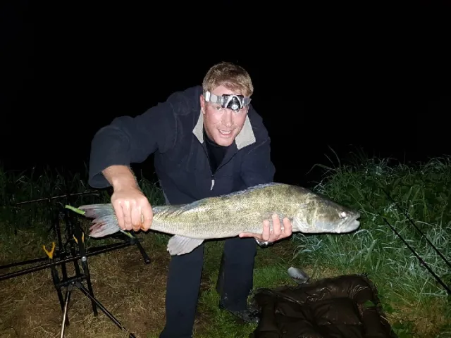 Zander