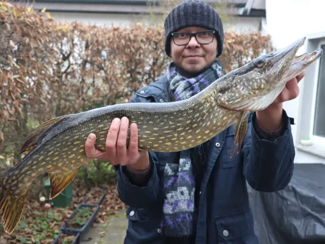 Hecht