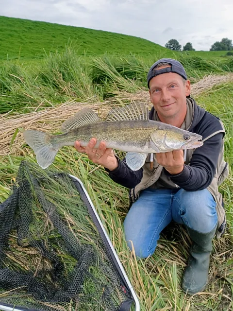 Zander