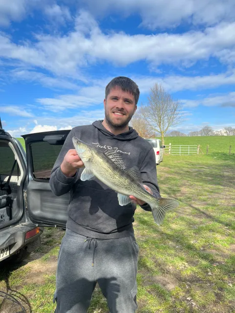 Zander
